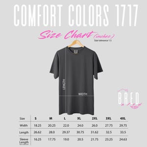 Size chart for Comfort Colors 1717 t-shirt featuring measurements in inches styled with a pink Bred N Fed logo and modern typography.