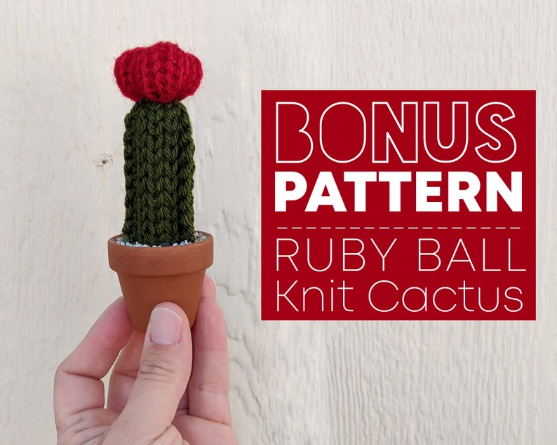 Pattern Rainbow Wall Hanging knit pattern Addi Express Tutorial for rainbow wall hanging, home decor, Ruby Ball Knit Cactus bonus pattern image 7