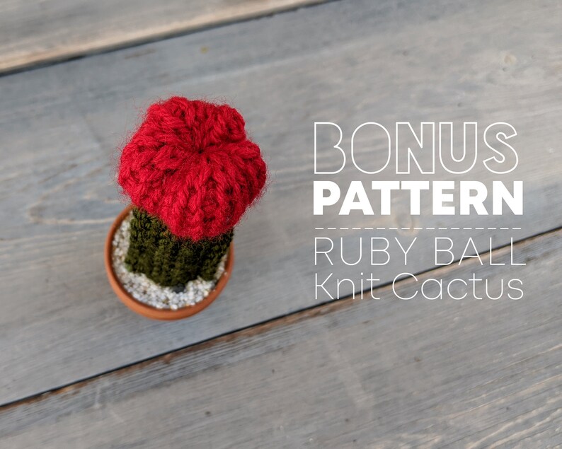 Pattern Rainbow Wall Hanging knit pattern Addi Express Tutorial for rainbow wall hanging, home decor, Ruby Ball Knit Cactus bonus pattern image 8