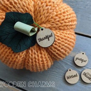 Wooden Tag Fall Saying Tags, Thankful, Give Thanks, Grateful, Blessed