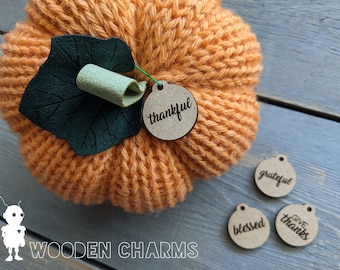 Wooden Tag Fall Saying Tags, Thankful, Give Thanks, Grateful, Blessed