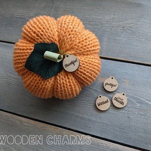 May include: Orange knitted pumpkin with a green felt leaf and a wooden tag that says "thankful". Four additional wooden tags with the words "grateful", "blessed", and "give thanks" are scattered around the pumpkin.