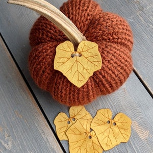 May include: A knitted pumpkin with a brown stem and a felt leaf accent. The pumpkin is surrounded by four additional felt leaves.