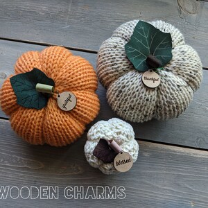 May include: Three knitted pumpkins with wooden charms. The pumpkins are orange, white, and beige. The charms say "grateful", "thankful", and "blessed".