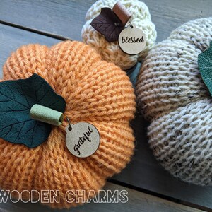 May include: Three knitted pumpkins with wooden tags. The orange pumpkin has a green leaf and the tag says "grateful". The white pumpkin has a green leaf and the tag says "thankful". The smaller white pumpkin has a brown leaf and the tag says "blessed".
