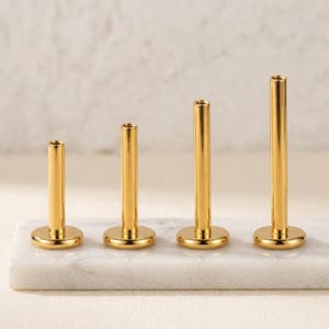 Könnte beinhalten: Vier goldfarbene Labret-Stecker aus Metall mit flachen, runden Basen und zylindrischen Stäben in unterschiedlichen Höhen, die in einer Reihe von kurz nach lang angeordnet sind. Jedes Teil hat eine glatte, polierte Oberfläche und eine Öffnung.
