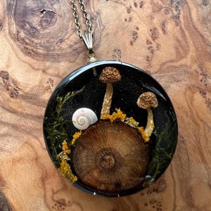 May include: A circular pendant necklace featuring a dark resin base containing two small brown mushrooms, a white spiral snail shell, green moss, and yellow lichen arranged on a round wooden slice, suspended from a metallic chain.