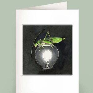 Oh Yes She Did - Katydid - Set med 6 kort