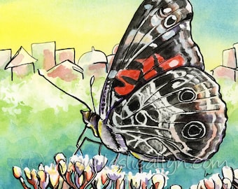 American Lady - 9x9 - Butterfly Original Framed Watercolor