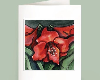 Amaryllis - Set of 6 Note Cards