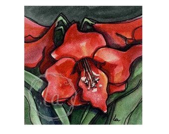 Amaryllis - small holiday print