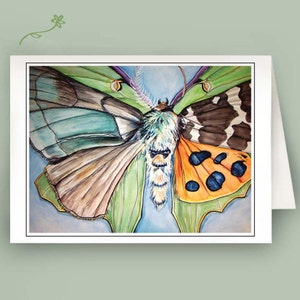 Puede incluir: Una pintura de acuarela de una polilla con alas compuestas por diferentes especies. La polilla tiene un patrón de alas verde, marrón y naranja con manchas negras.