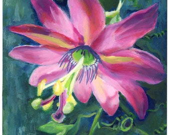 Pink Passion 4x4 oil painting Passion Flower