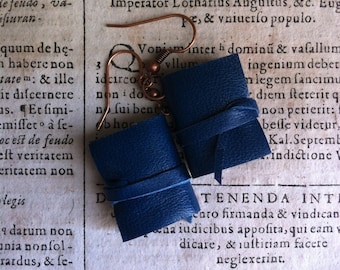 Mini book earrings, blu