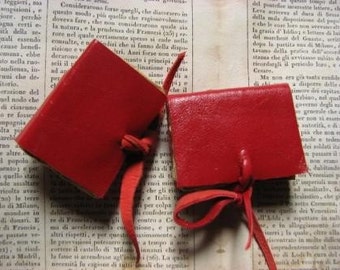 mini book magnets, red