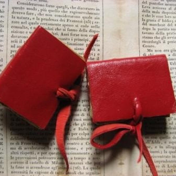 mini book magnets, red