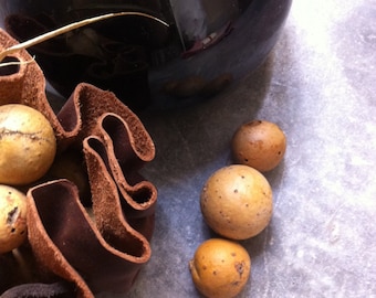 Oak galls