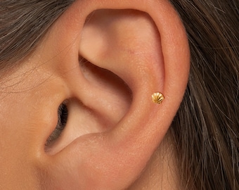 Mini piercing labret com pino de pressão em concha 20G/18G/16G • Brinco com base plana sem rosca • Piercing para tragus • Piercing com base plana • Piercing para hélix • Piercing para cartilagem