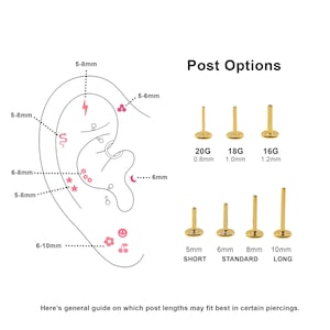 May include: Diagram of an ear with various piercing locations marked with pink dots and symbols.  The diagram shows different post lengths for ear piercings in millimetres.  Post Options: 20G 0.8mm, 18G 1.0mm, 16G 1.2mm.  Short: 5mm, Standard: 6mm, Long: 8mm, 10mm.