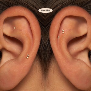 May include: Close-up of two ears, each adorned with three small, gold-colored musical note earrings. The earrings are placed on the upper and middle ear cartilage. The text "New Size" is in a white oval in the upper center.