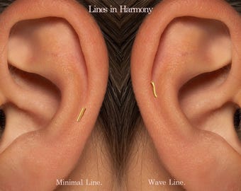 20G/18G/16G Schiebestift Labret • Fadenlose Ohrstecker • Tragus Ohrstecker • Flache hintere Ohrstecker • Helix Ohrstecker • Knorpel Ohrstecker