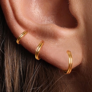 A+Grade •Titanium • Double Line Hoop • Hinged Segment Nose Ring • Septum Clicker Ring • Cartilage Hoop • Nose Ring • Helix Earring Hoop