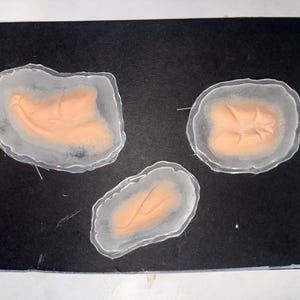 May include: Three flesh-toned prosthetic wounds with translucent edges are displayed on a black background. The wounds vary in shape, with one resembling a large cut and the others more oval. The image is set against a white border.