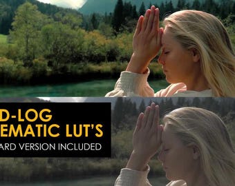 Pack de plus de 400 LUTs cinématographiques DJI | D-Log, D-Log M, Rec.709 Couleur