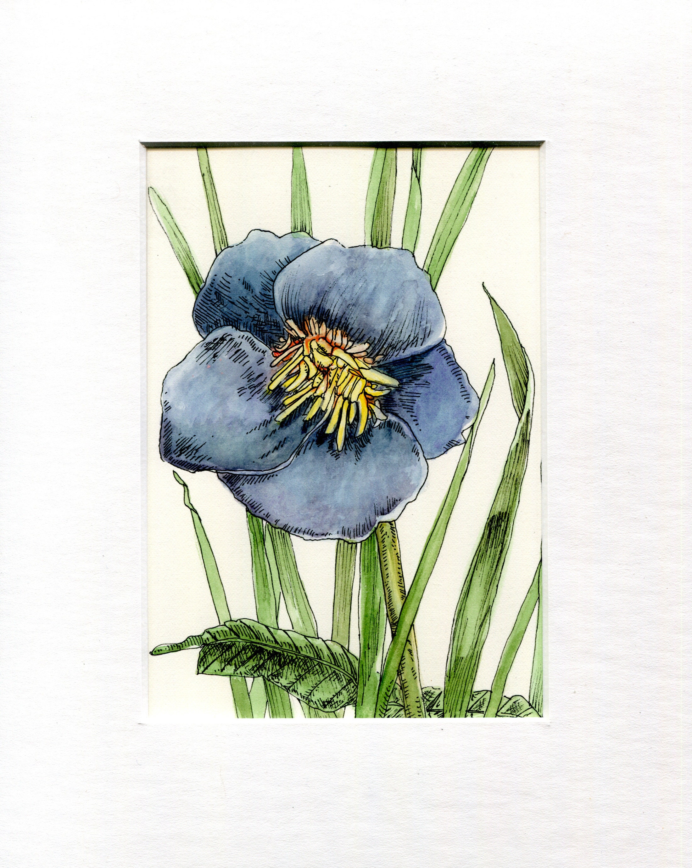 The Ready For Joy Empty Watercolor Palette - Hellebores - Unique