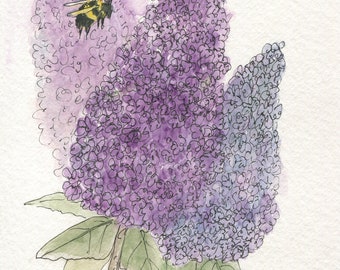 Watercolor Lilacs Spring Garden Flowers Detailed Botanical Original Nature Art Laurie Rohner