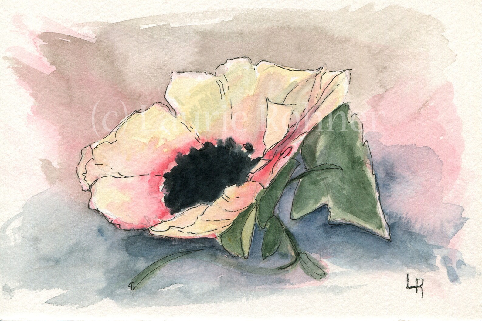 poppy and ivy facebar poppy and ivy facebar