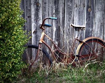 old rusted bicycle for sale
