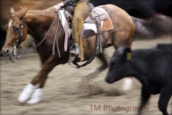 Cutting Horse Cutting Horse Photography Horse Photography | Etsy