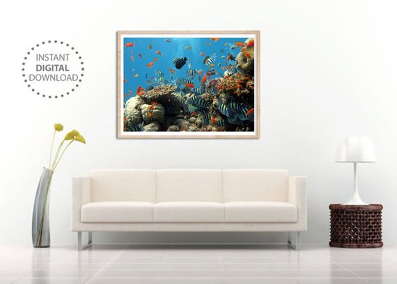 Aquarium Fish Tank Photo Ocean Wall Art Ocean Print Sea Etsy