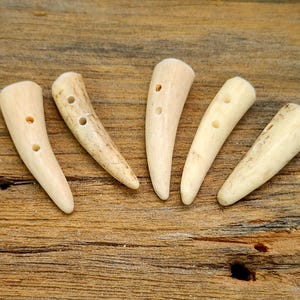 May include: Five natural antler buttons with two holes each. The buttons are a light brown color and have a pointed, slightly curved shape.