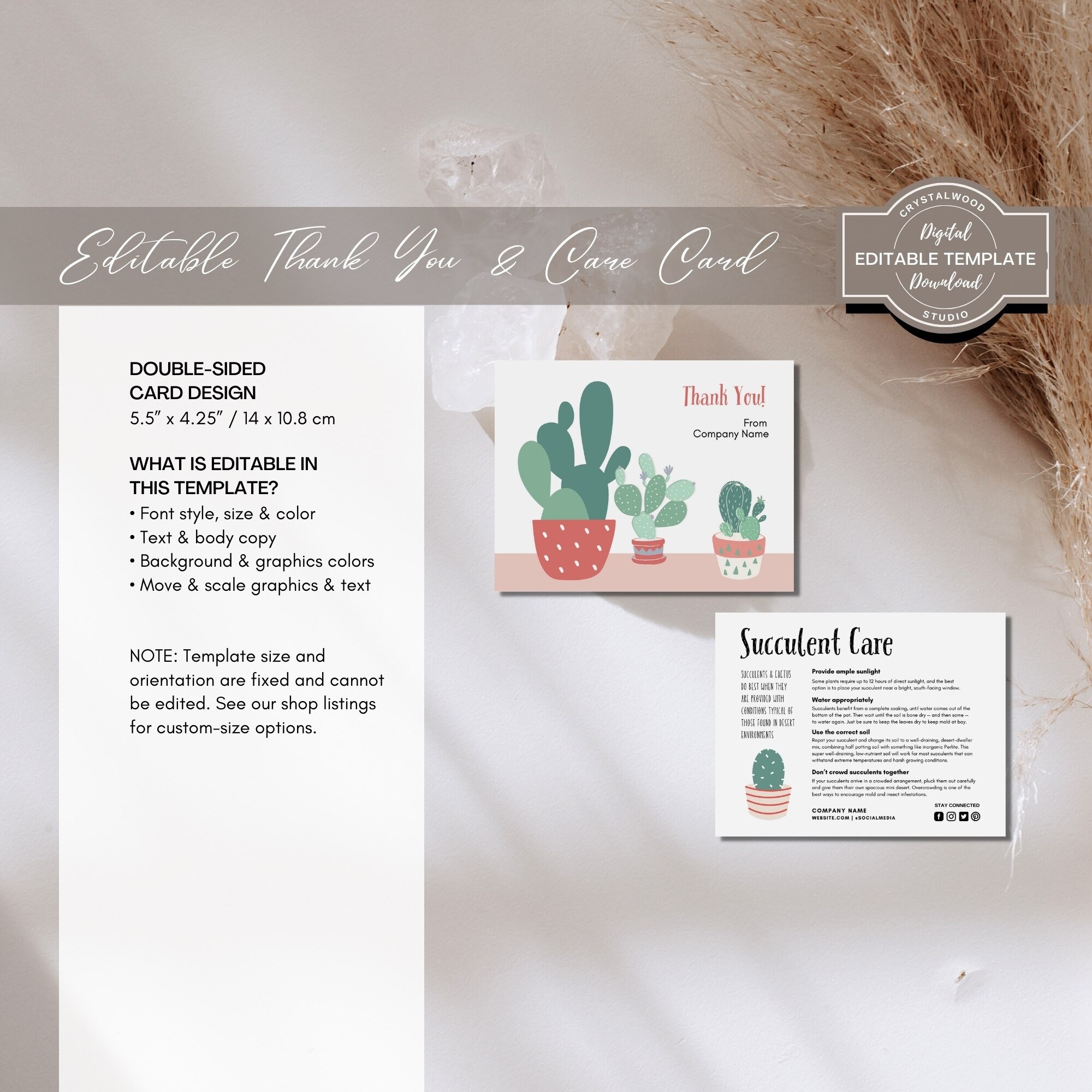 Printable Succulent Care Card Template, Editable Succulent Cactus Plant ...