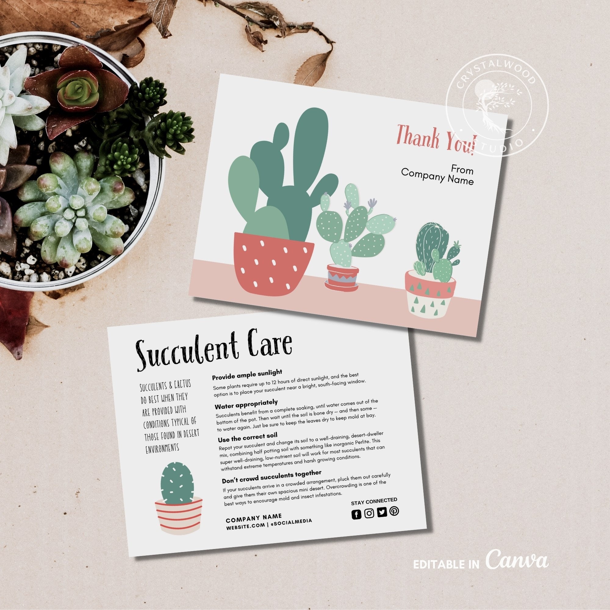 Printable Succulent Care Card Template, Editable Succulent Cactus Plant ...