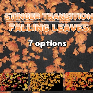 May include: An image featuring a dark background with falling autumn leaves in shades of orange and yellow. The text "STINGER TRANSITION FALLING LEAVES" is displayed, along with "7 options" below. Three smaller preview images are at the bottom.