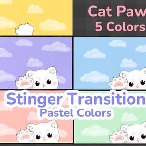 Cute Cat Stinger Transition Pastel Colors Celestial Aesthetic Steam Transition Twitch OBS Overlay Scene Transition Screen