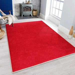 May include: A bright red area rug with a subtle textured pattern and a cream-colored border. The rug is laid out on a light wood floor in a room with a fireplace and a window.