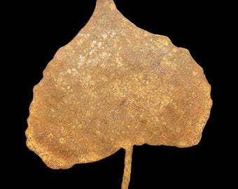 Freehand Cut Metal Wall Decor. Cottonwood Leaf.
