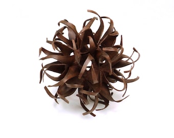 Nature Inspired Steel Sculpture