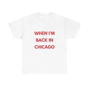 Djo Merch, Djo Fan T-Shirt, The Crux Album, End of Beginning, When I&#39;m Back in Chicago, Lollapalooza Joe Keery Merch