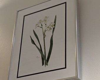 Original gerahmte Aquarellmalerei von Cluster Narzissen, Botanische Illustration