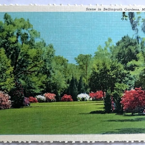 Vintage 1930 INUTILIZZATO Cartolina di lino - Scene a Bellingrath Gardens, Mobile, Alabama - Genuine Curteich-Chicago "C.T. Art-Colortone"