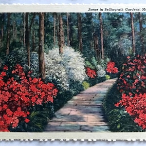 Vintage 1936 INUTILIZZATO Cartolina di lino - Scene a Bellingrath Gardens, Mobile, Alabama - Genuine Curteich-Chicago "C.T. Art-Colortone"