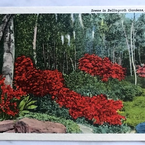 Vintage anni '30 INUTILIZZATO Lino Cartolina- Scena a Bellingrath Gardens, Mobile, Alabama- Genuine Curteich-Chicago "C.T. Art-Colortone"