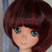 see more listings in the Doll Wigs section