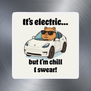 Es ist Electric ... But I'm Chill I Swear Magnet Capybara Cruisin Edition Lustiges gestanztes Auto-Magnet