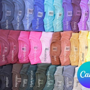 Puede incluir: Una colección de camisetas coloridas en varios tonos, incluyendo rojo, azul, rosa y verde. Cada camiseta está etiquetada con su nombre de color, como "true navy", "neon pink" y "neon lemon". El logotipo de Canva es visible en la esquina inferior derecha.